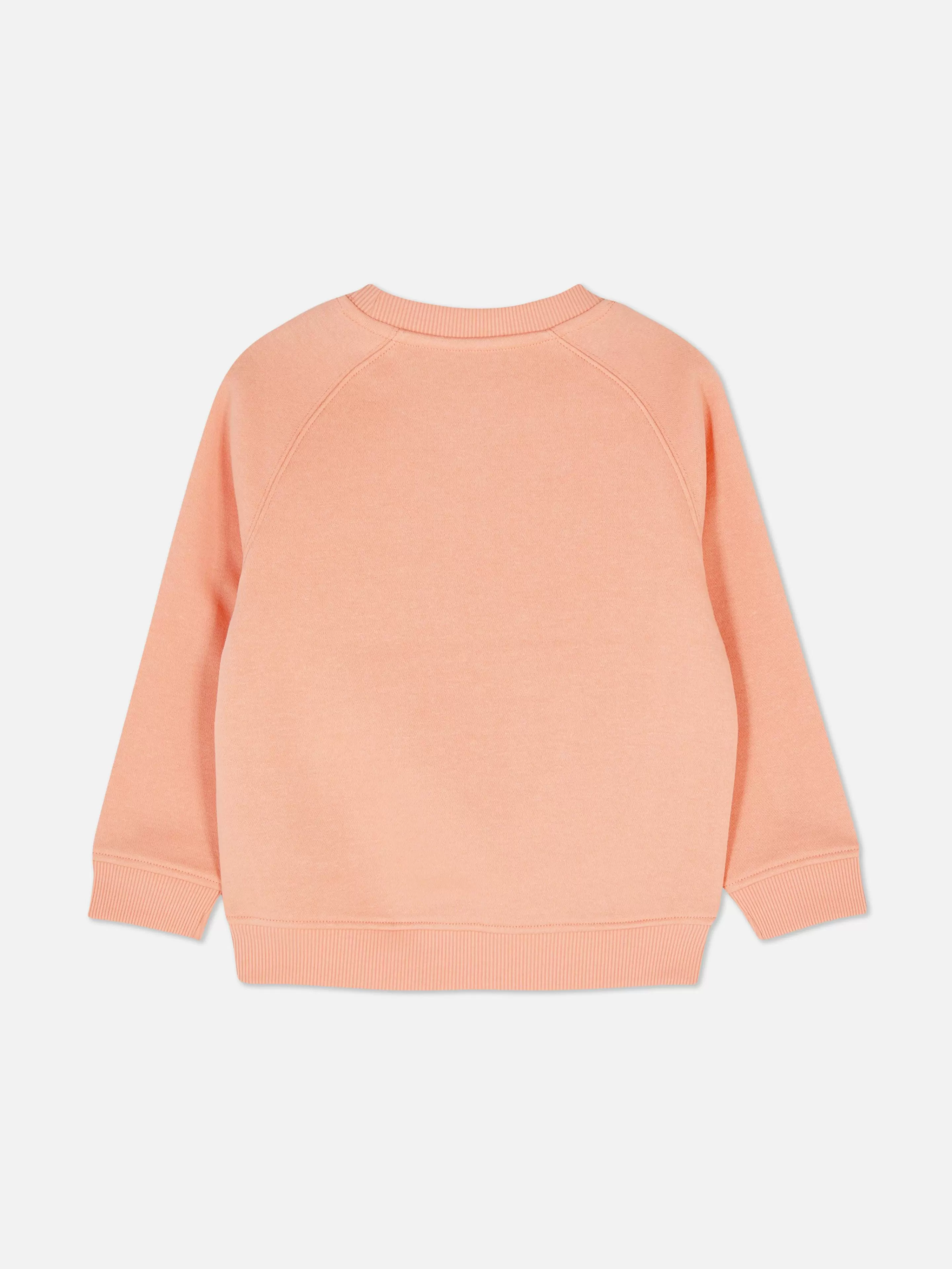 Primark Hoodies Und Sweatshirts | Sweatshirt Mit Rundhalsausschnitt Orange