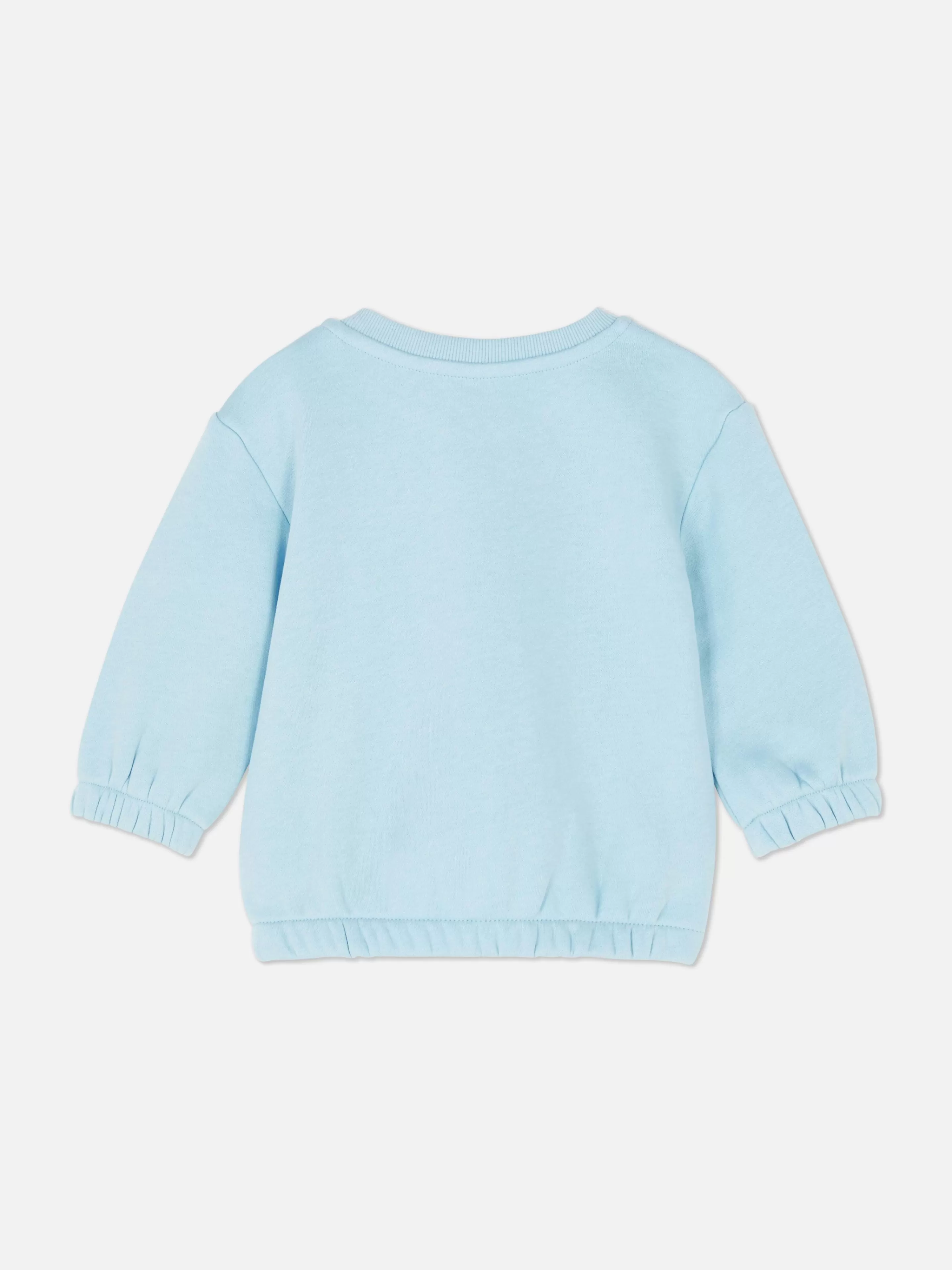 Primark Pullover Und Cardigans | Sweatshirt Mit Rundhalsausschnitt Zum Kombinieren Hellblau